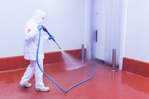 Best House Exterior Washing  in Hightstown, NJ
